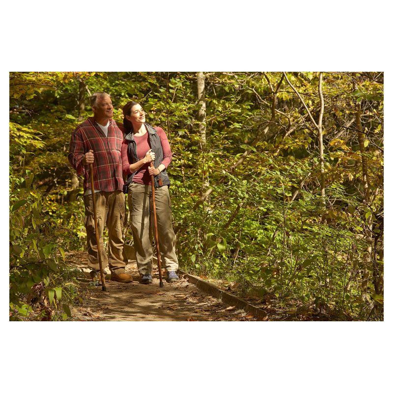 Medline Deluxe Rollator with Curved Back - Blue