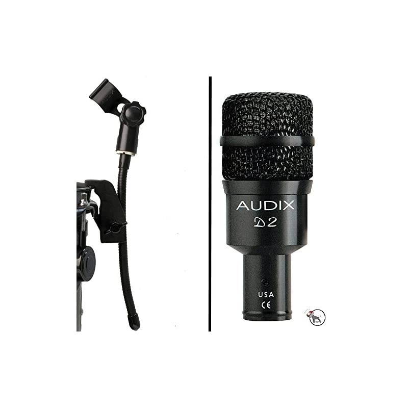 D2 Hypercardioid Dynamic Microphone and DVice Gooseneck Mic Clip