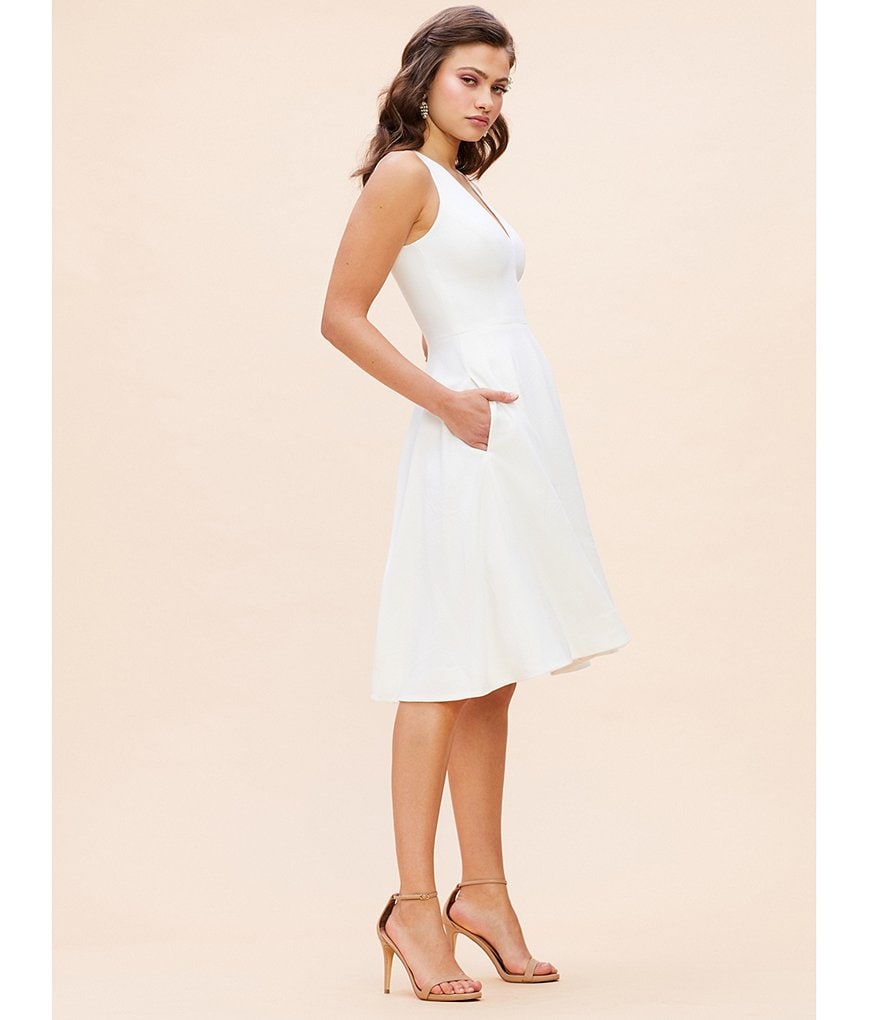 Dress the Population Catalina Crepe V-Neck Sleeveless A-Line Dress