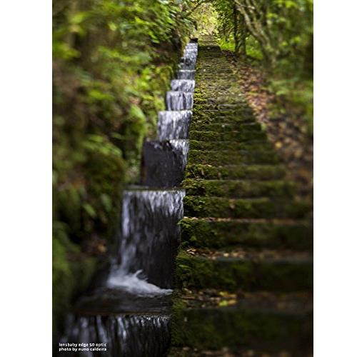 Lensbaby Composer Pro II with Edge 50 Optic for Nikon F Mount #LBCP2E50N