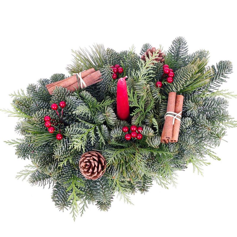 Live Fresh Cut Pacific Northwest Birch Log Centerpiece with Candle - Van Zyverden