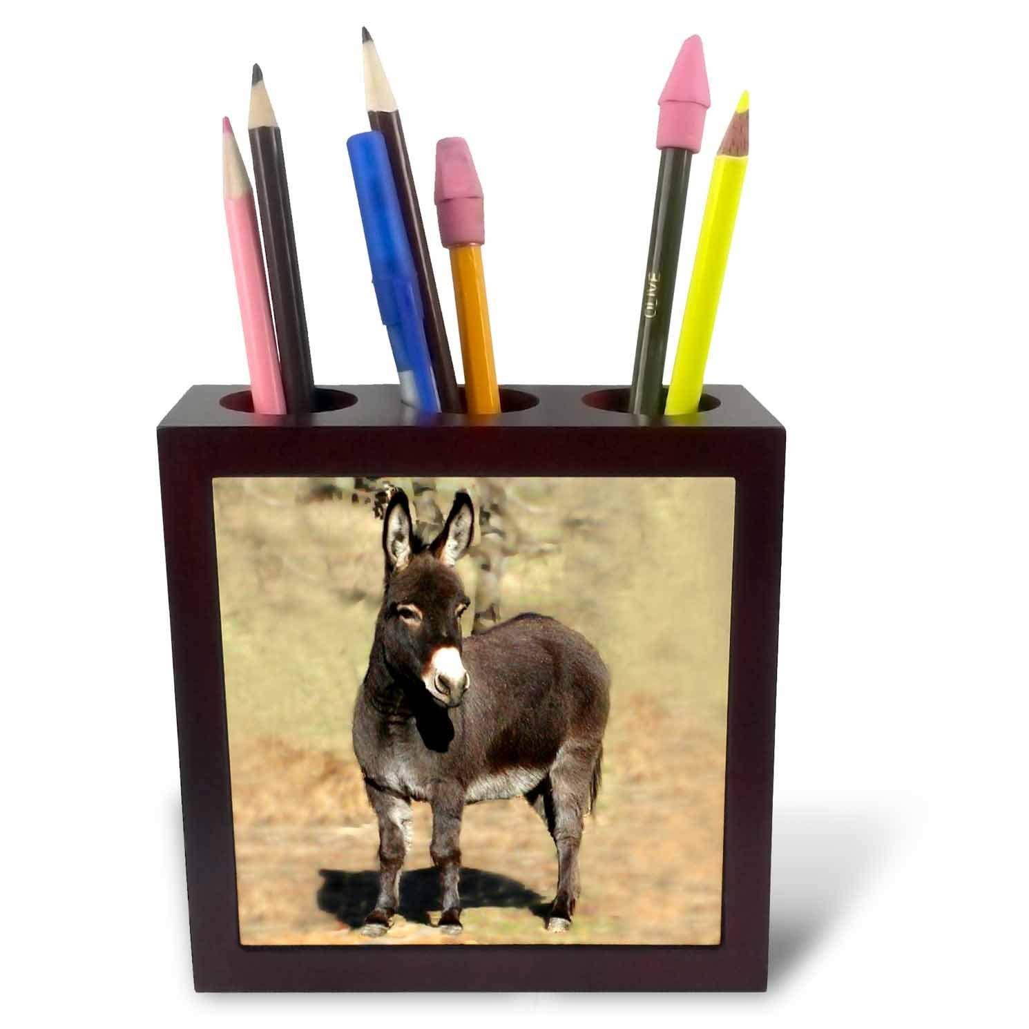 3dRose Miniature Donkey Pen Holder Image Tile, 5-Inch