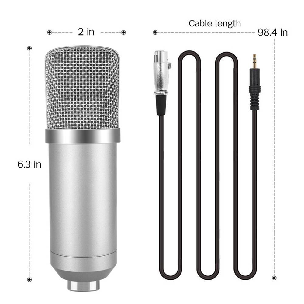 Professional Studio Condenser Microphone Kit Recording Broadcasting Shock Mount