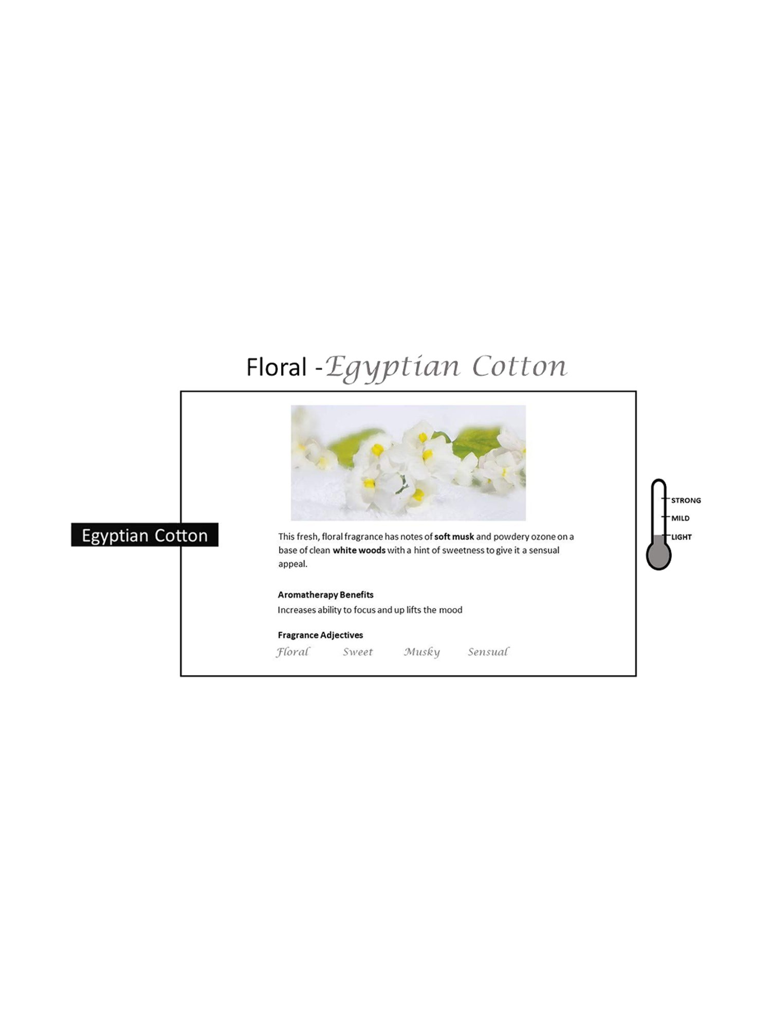 Rosemoore Blue Car Spray Pack Of 3