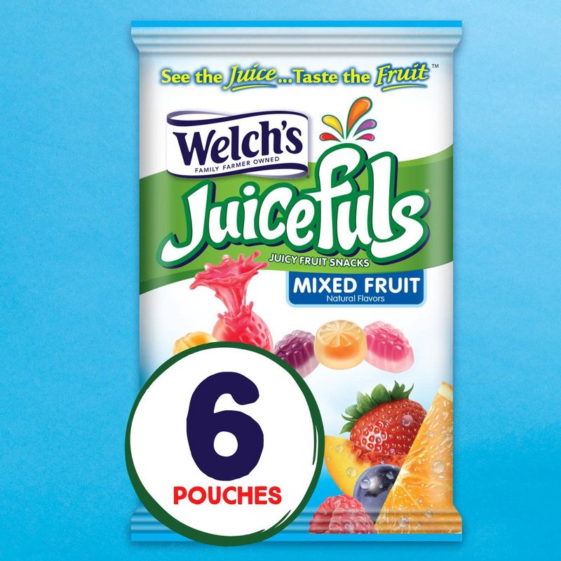 Fruit Flavored Variety Snacks - 16ct