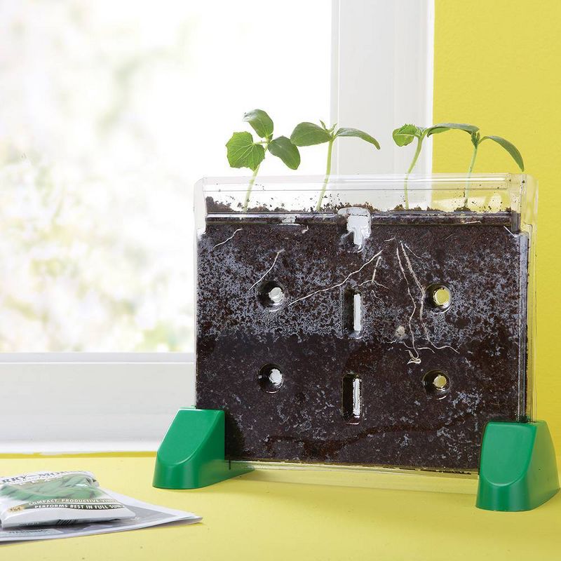 Educational Insights Sprout And Grow Window