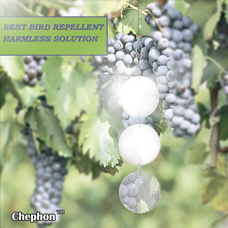 Upgraded Bird Repellent Discs Set Large 24PCS Pack Highly Reflective DoubleSided Bird Repellent Scare Disks Better Bird Deterrent Product to Keep All Birds Away Like Woodpecker and Pigeon