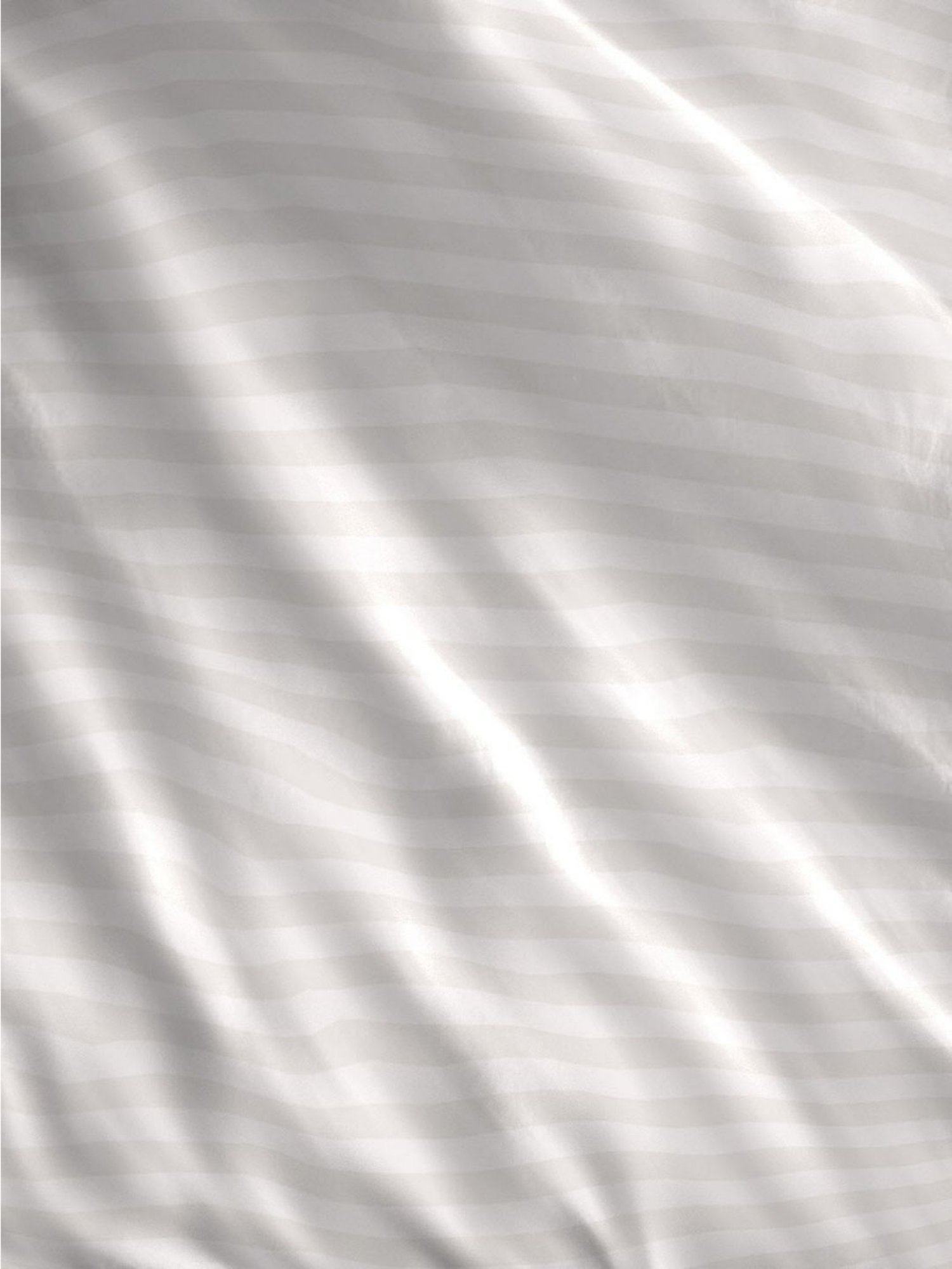 Boutique Living Musette Printed Multicolor 600 TC Cotton Queen Comforter