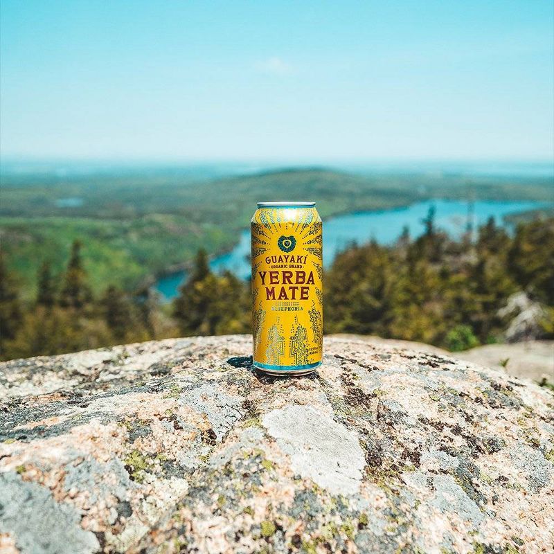 Guayaki Yerba Mate Bluephoria - 15.5 fl oz Can