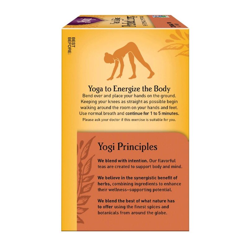 Yogi Tea - Vanilla Spice Perfect Energy Tea - 16ct