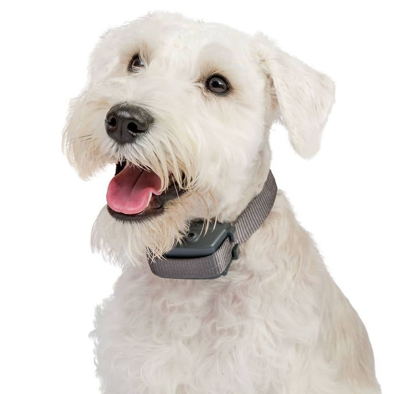 Premier Pet Spray Refill - Citronella - 2pk