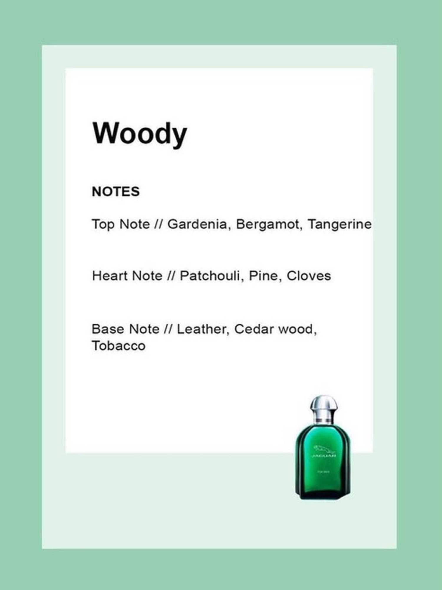 Jaguar Eau de Toilette for Men - 100 ml