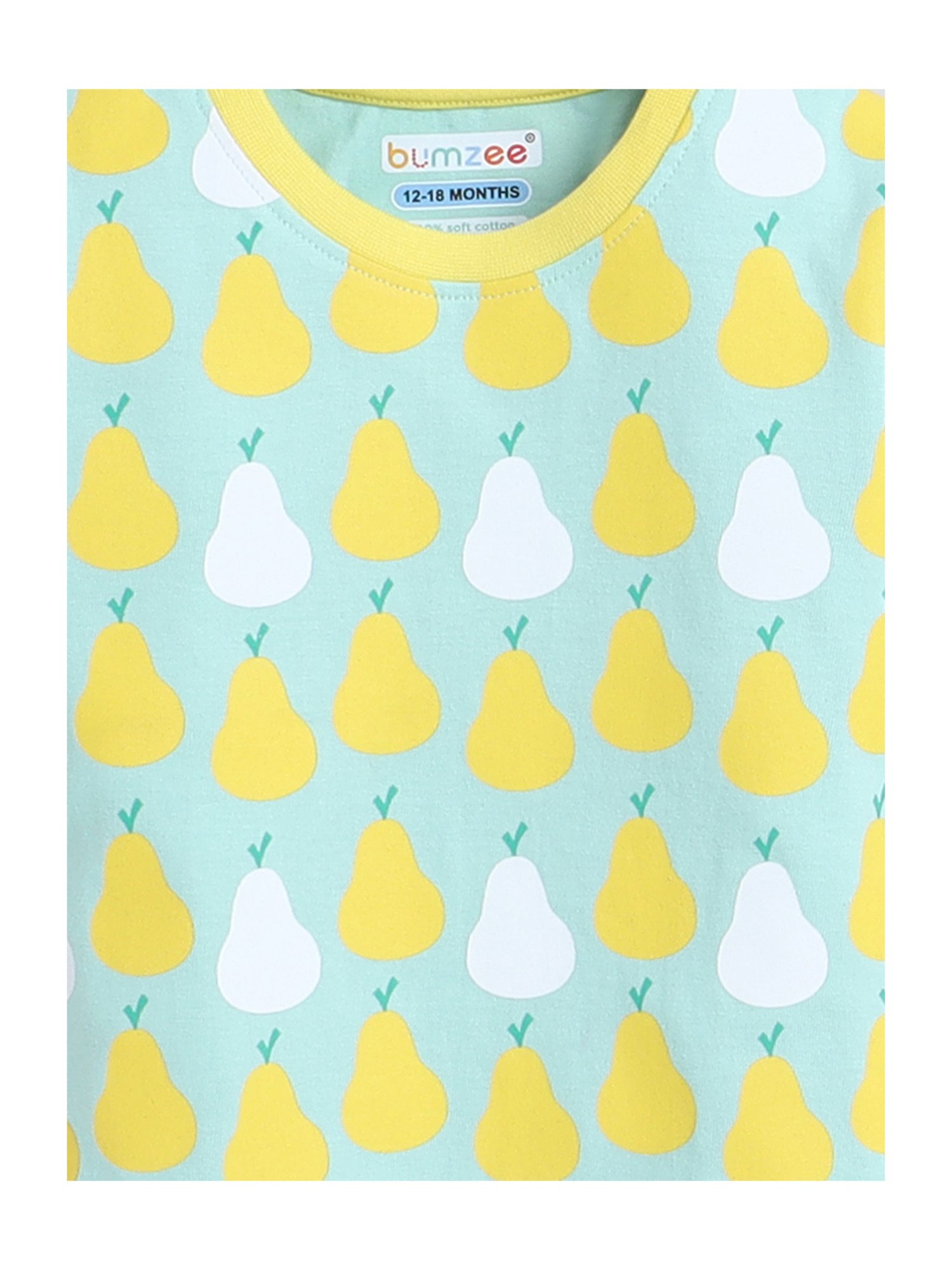 Bumzee Kids Mint Green & Yellow Printed T-Shirt (Pack Of 2)