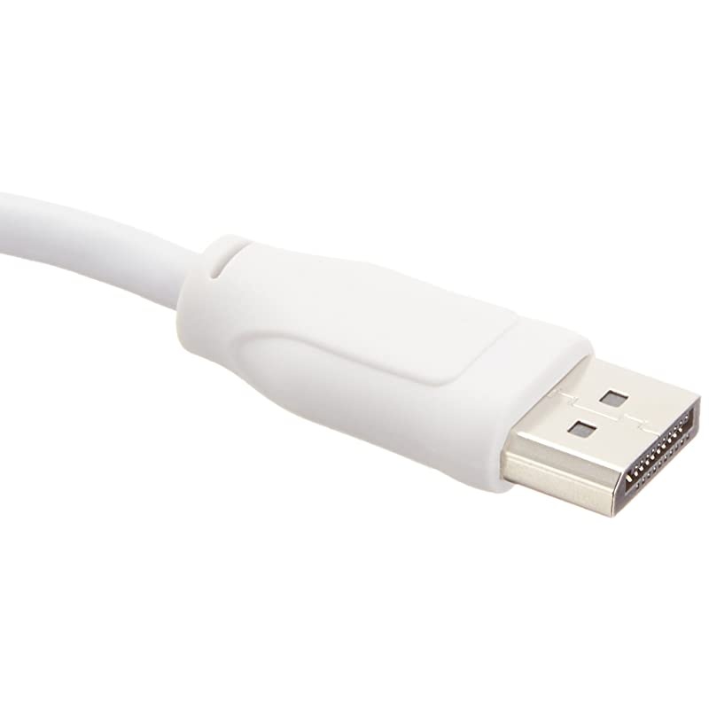 Basics DisplayPort to DVI Adapter_10 pack
