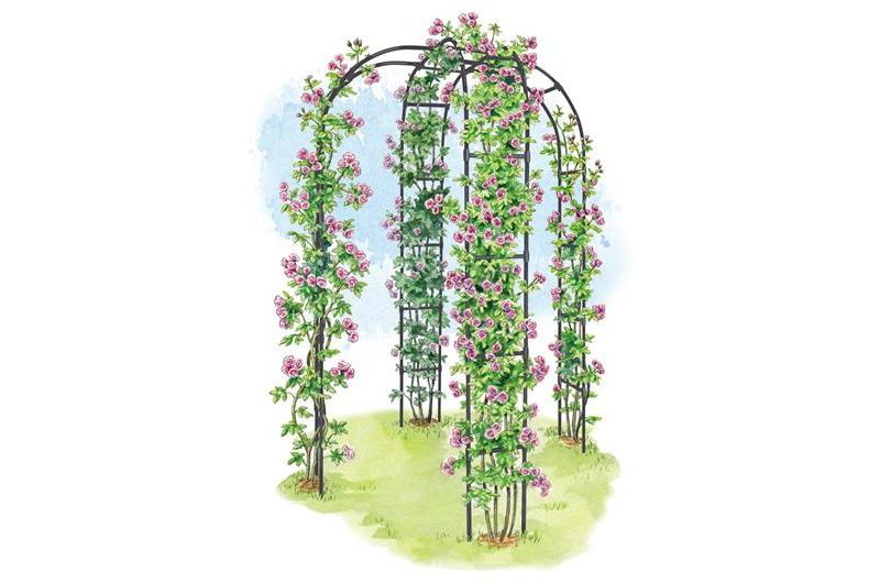 Extra Strong Lightweight Metal Titan Arbor for Climbing Flowers and Vegetables - Gardener's Supply Company