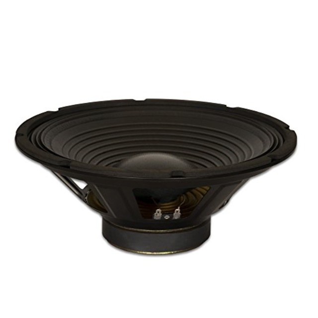 Goldwood Sound GW-1238/PA Pro 12" Woofer 30oz Magnet 240 Watts Replacement Speaker