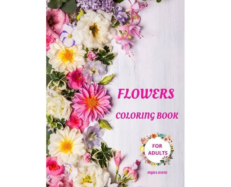 She Memes Well - by Quinta Brunson (Hardcover)