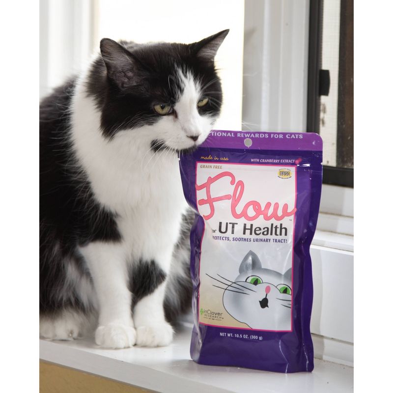 PL360 Dog Walk Wipes - 50ct