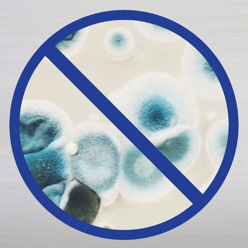 Clorox Compostable Wipes - Free & Clear - 75ct