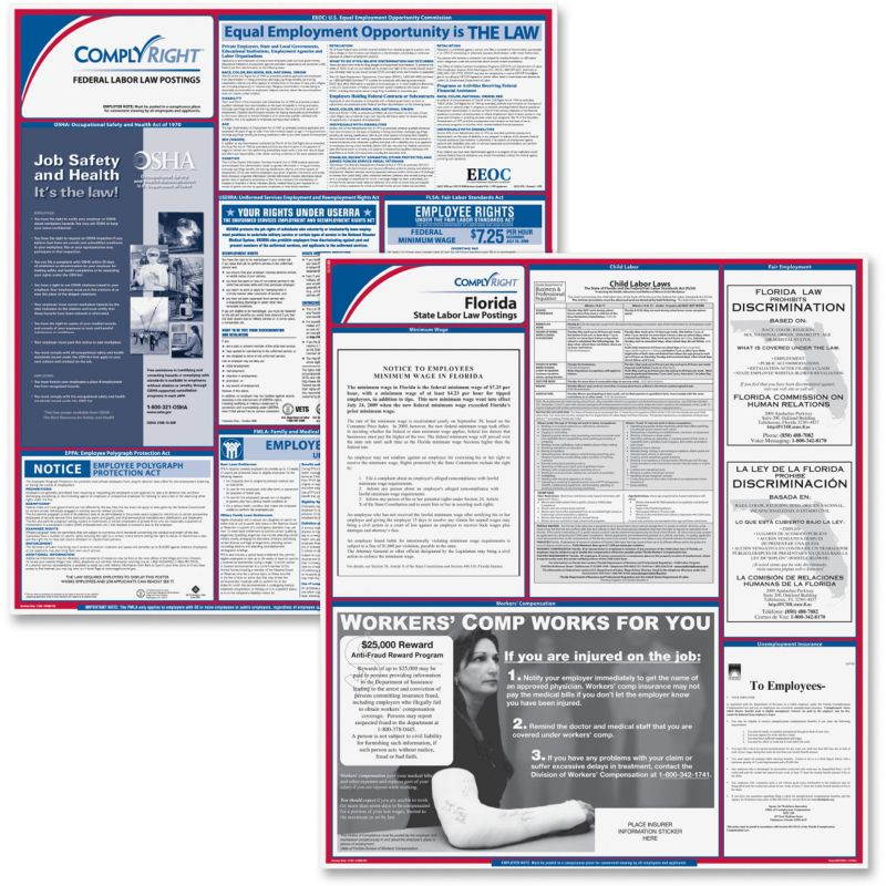 ComplyRight Fed/State Florida Compliance Labor Law Poster Kit, Laminated, 24" x 27" - 1 set per pack