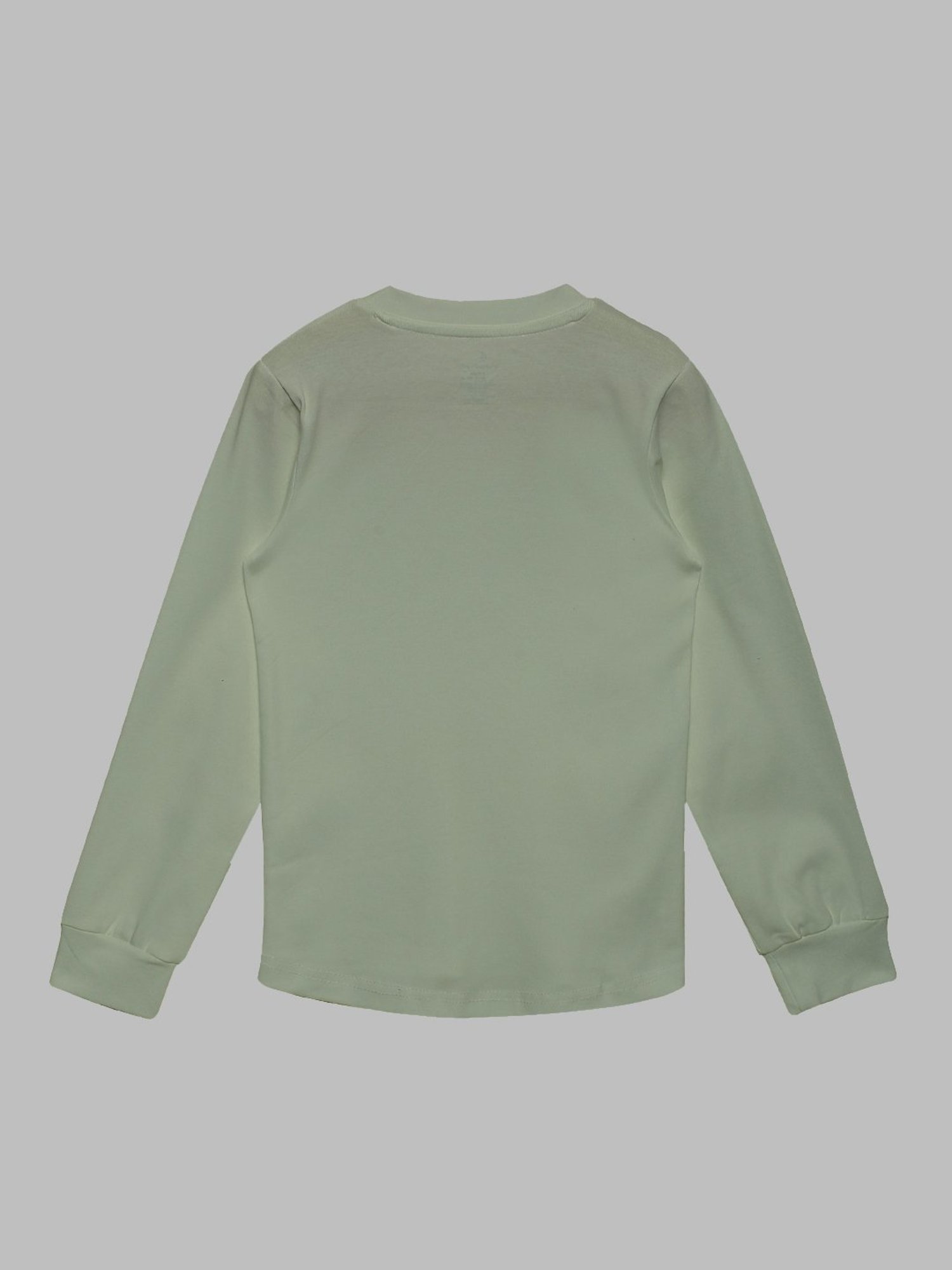 Kiddopanti Kids Sage Green Solid Full Sleeves T-Shirt