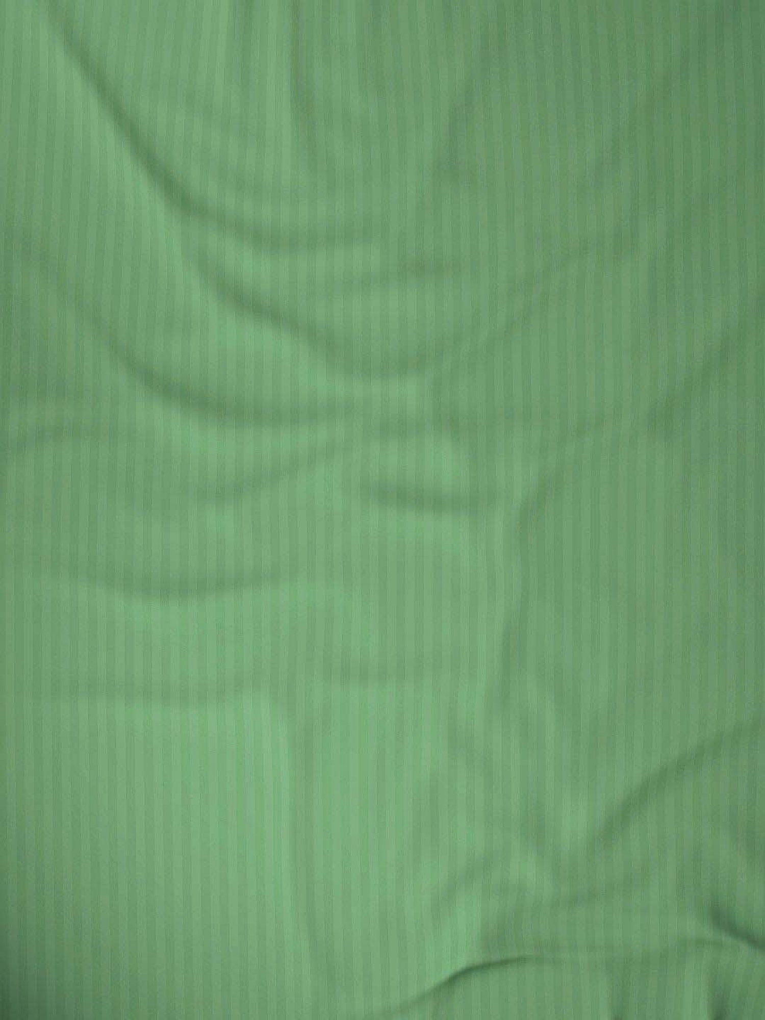 My Room Green 100% Cotton 300 TC King Bedsheet with 2 Pillow Covers