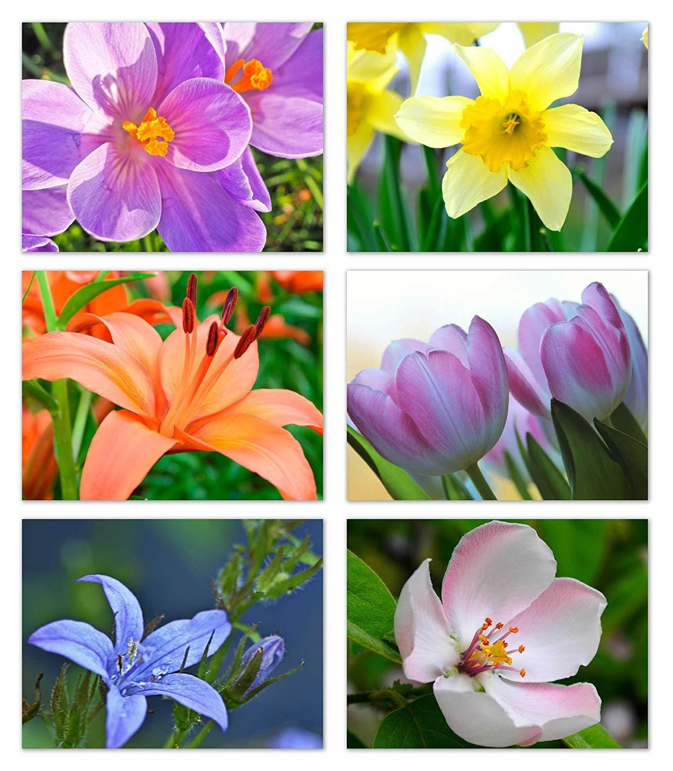 Spring Flowers Blank Note Cards - Greeting Cards with Envelopes - 6 Unique Designs - 5.5"x4.25" (12 Pack)