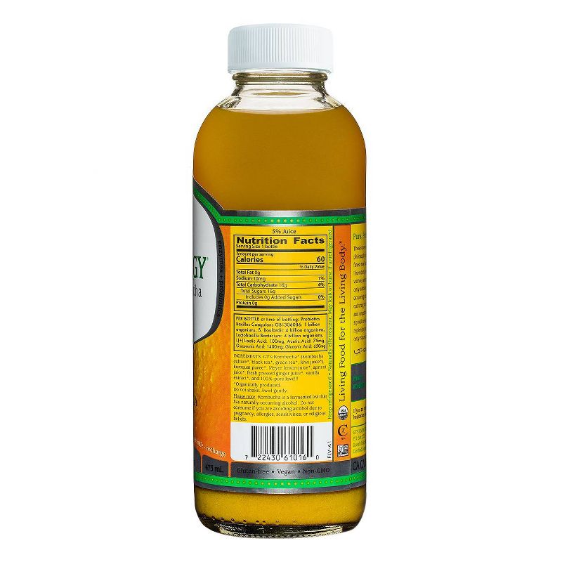 GT's Synergy Organic California Citrus Raw Kombucha - 16 fl oz