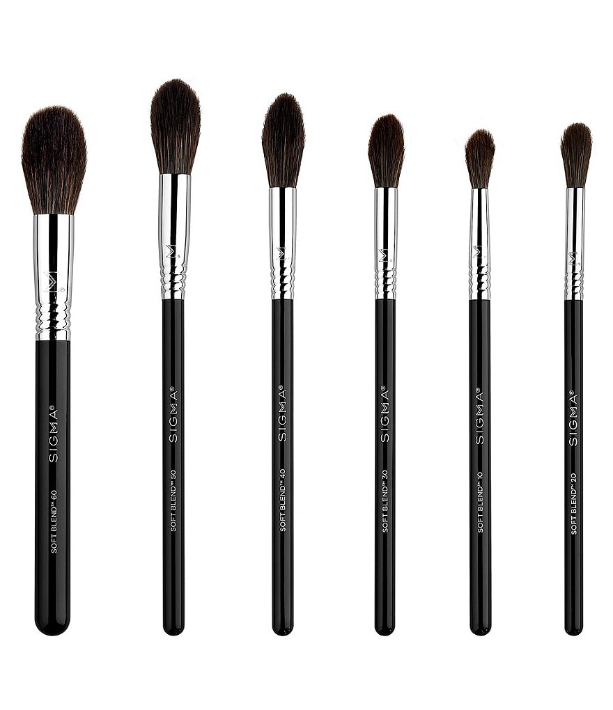 Sigma Beauty Complexion Air Brush Set