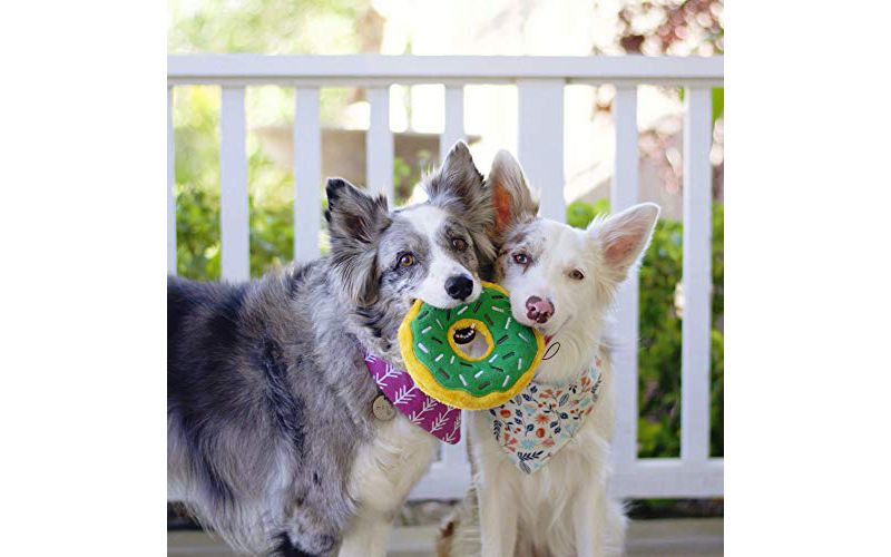 NERF Blitz Squeak Football Dog Toy - Green - 7"