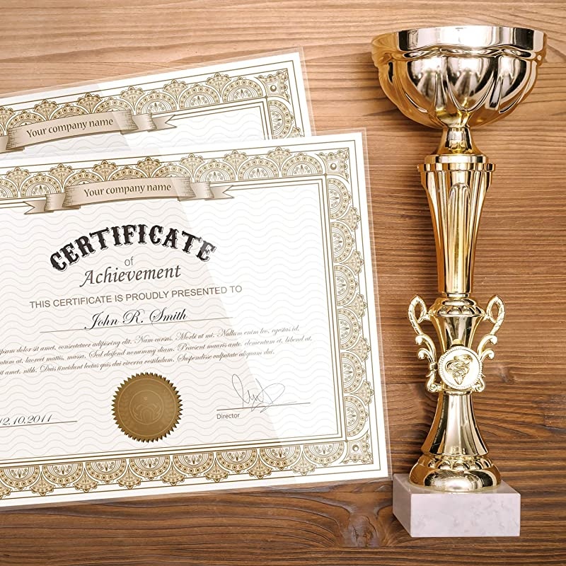 Thermal Laminating Pouches, 8.9 x 11.4 - Inches, 3 Mil Thick, 110 - Pack, Letter Size Sheets, Clear(TH0300-01)