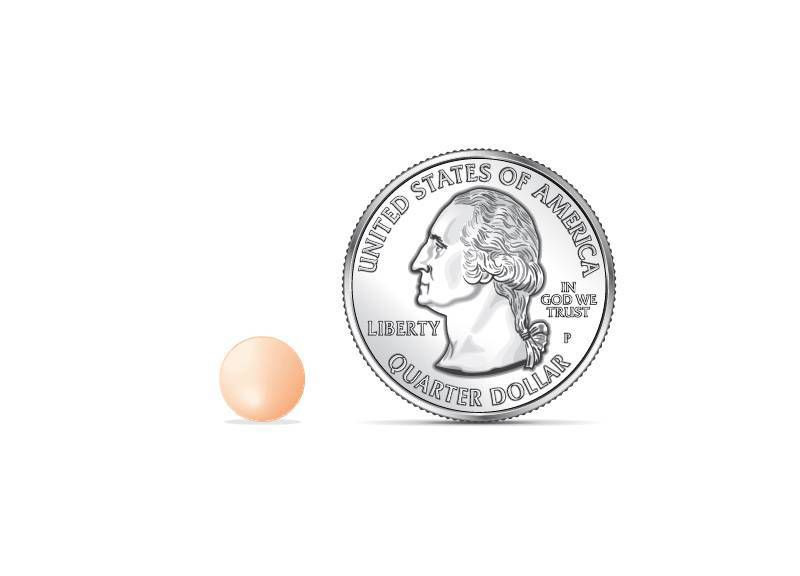 Aspirin (NSAID) Pain Reliever Chewable Tablets - Orange - 36ct/3pk - up & up™