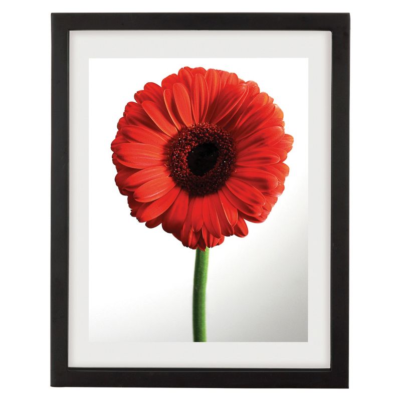 Northlight 28.75" Black Dual-Sized "Friends" Collage Photo Picture Frame Wall Decoration