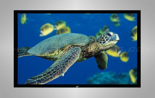 Elite Screen R135DHD5 Website Link 135"(16:9) CineGrey 5D Projector Screen