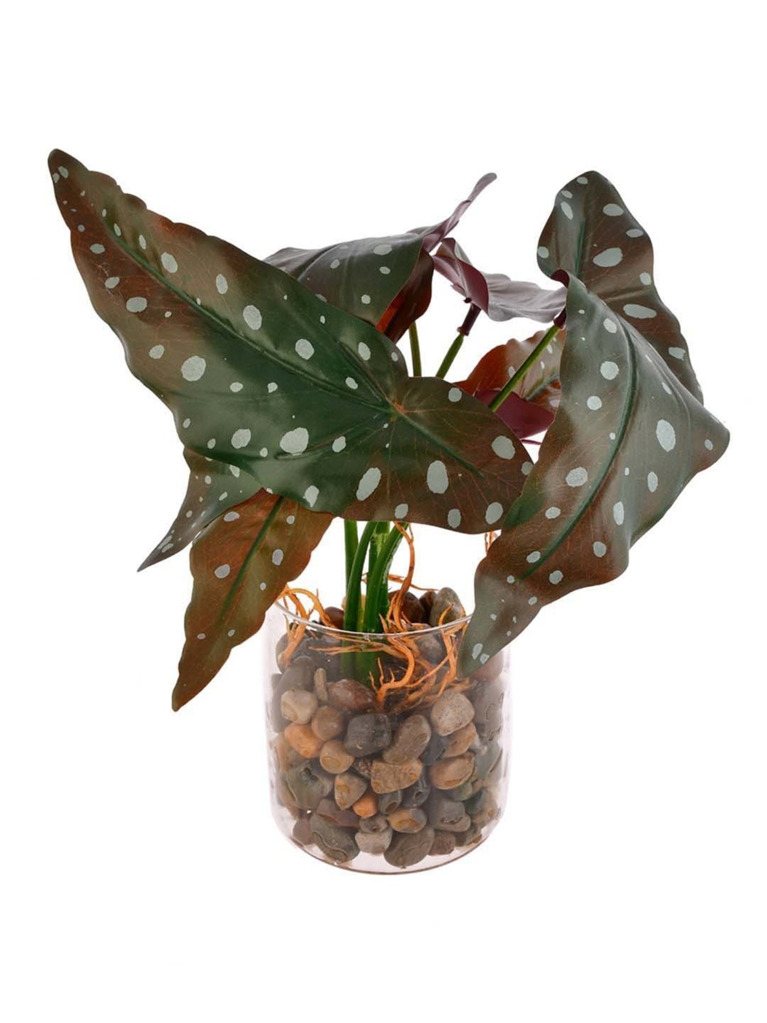 Tayhaa Green Ceramic Planter With Artificial Spotted Begonia Plant