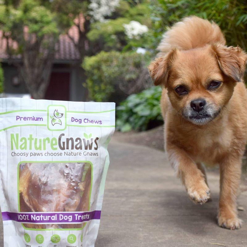 Nature Gnaws Beef Tendons Jerky Dog Treats - 5ct