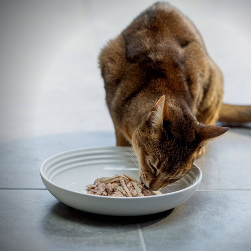 Meow Mix Tasty Layers Chicken and Tuna Recipe Wet Cat Food - 2.75oz