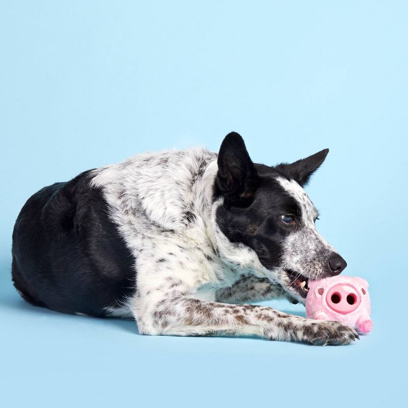 BARK Super Chewer Pig Dog Toy - Hambone