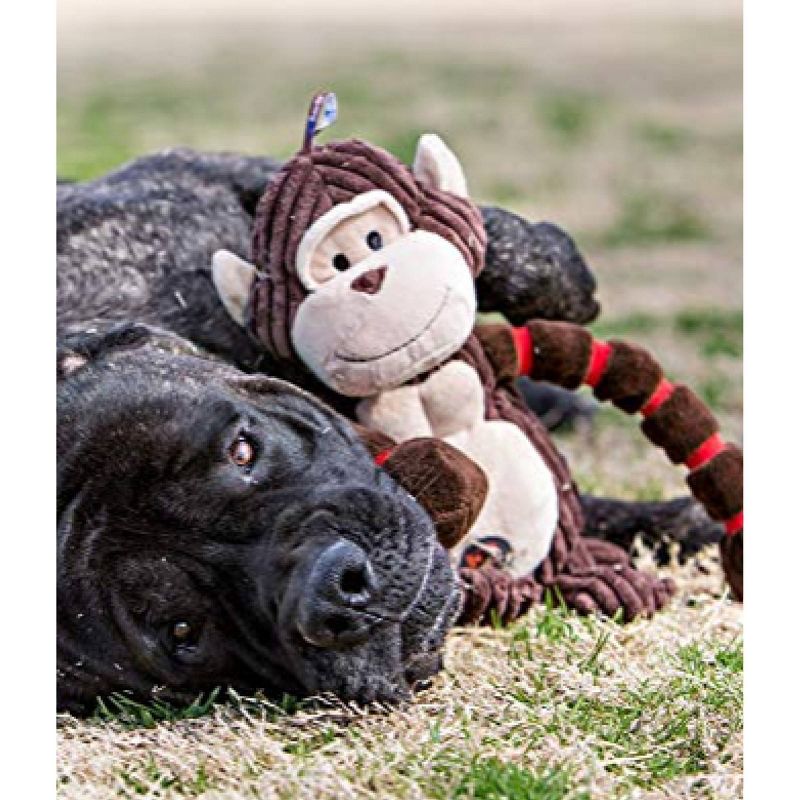 Charming Pet Thunda Tugga Bunny Plush Dog Toy