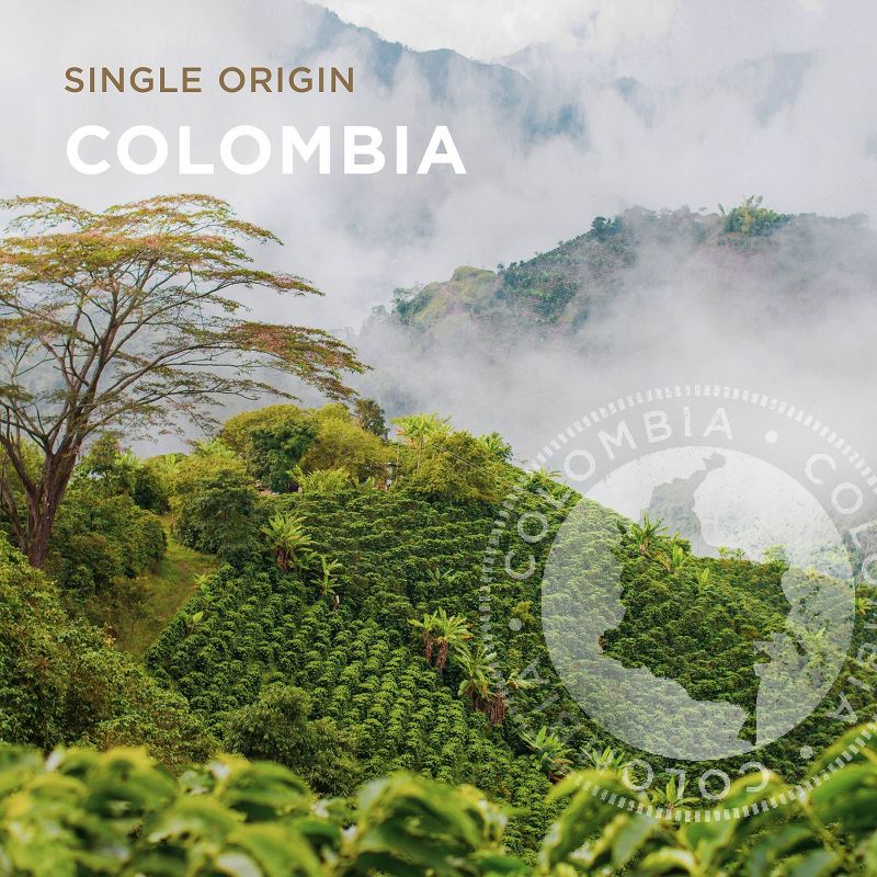 Peet's Colombia Single Origin Dark Roast Ground Coffee 10.5oz