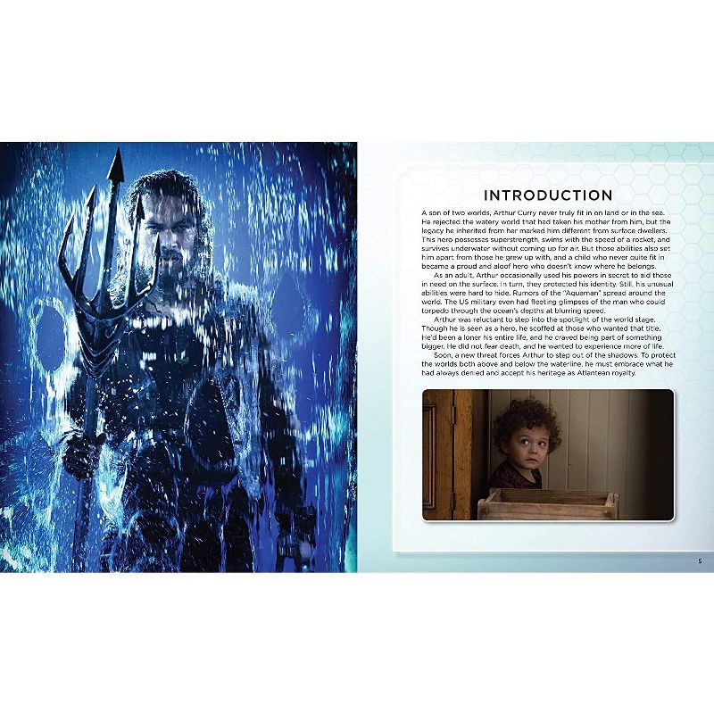 Incredibuilds DC Comics Aquaman Book & Wood Model Figure Kit