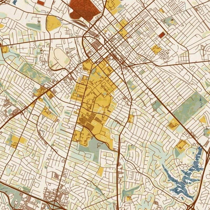 Lexington - Kentucky Map Print in Woodblock