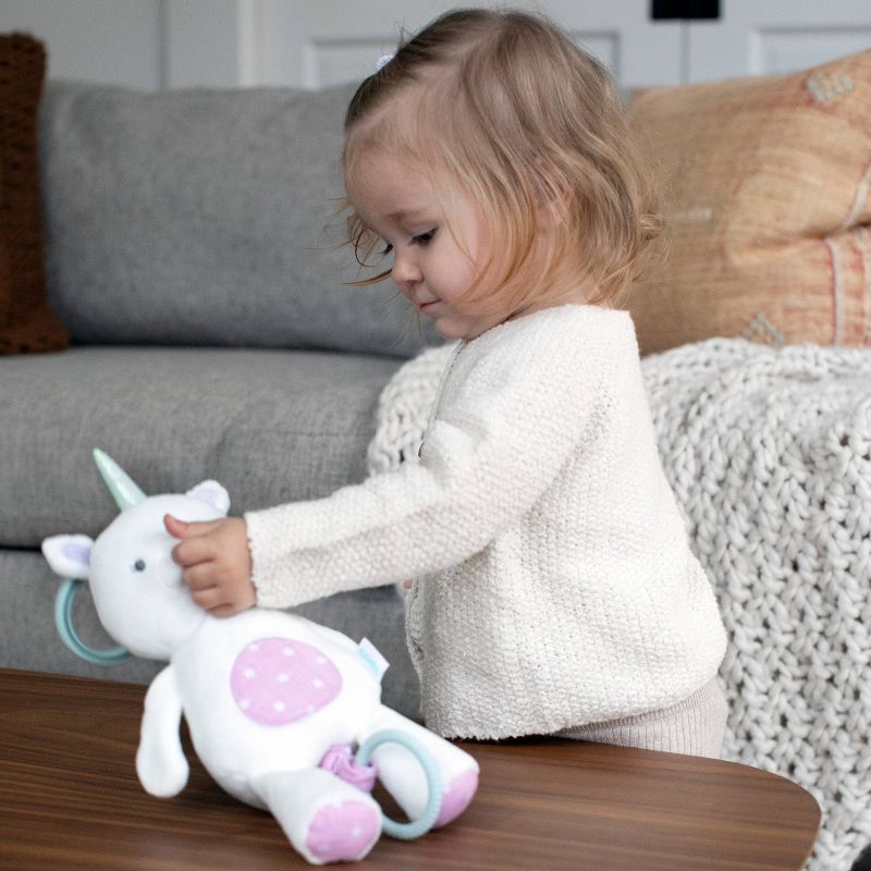 Ingenuity Shimmy Musical Toy