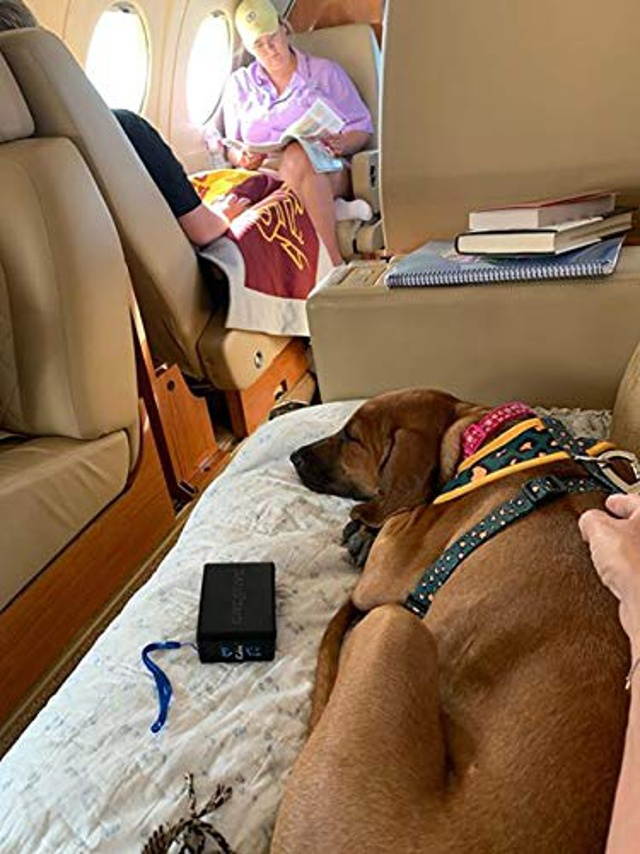 iCalmDog 5.0b Bluetooth Speaker + 3-hrs Clinically-Tested Classical Dog Calming Music: Through a Dog's Ear | Your Proven Canine Anxiety Solution