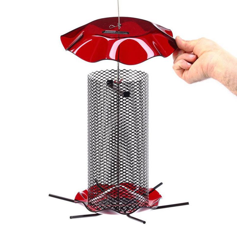 Birds Choice 3qt Safflower Forever Bird Feeder - Red