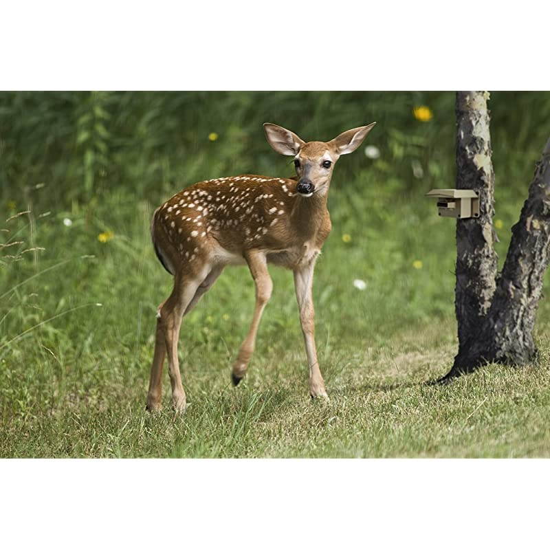 Cwpir Weatherproof Outdoor And Alert System Add-On Sensor, Includes 1 Sensor