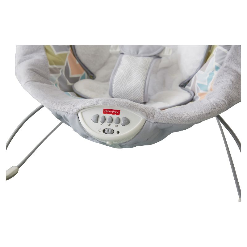 ​Fisher-Price Baby Bouncer