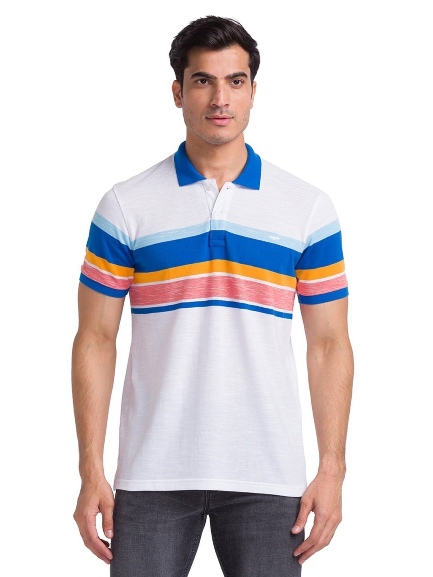 Park Avenue Blue Slim Fit Striped Polo T-Shirt
