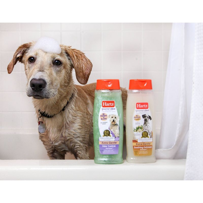 Hartz UltraGuard Rid Flea and Tick Shampoo for Dogs with Oatmeal - Rich Vanilla Fragrance - 18oz