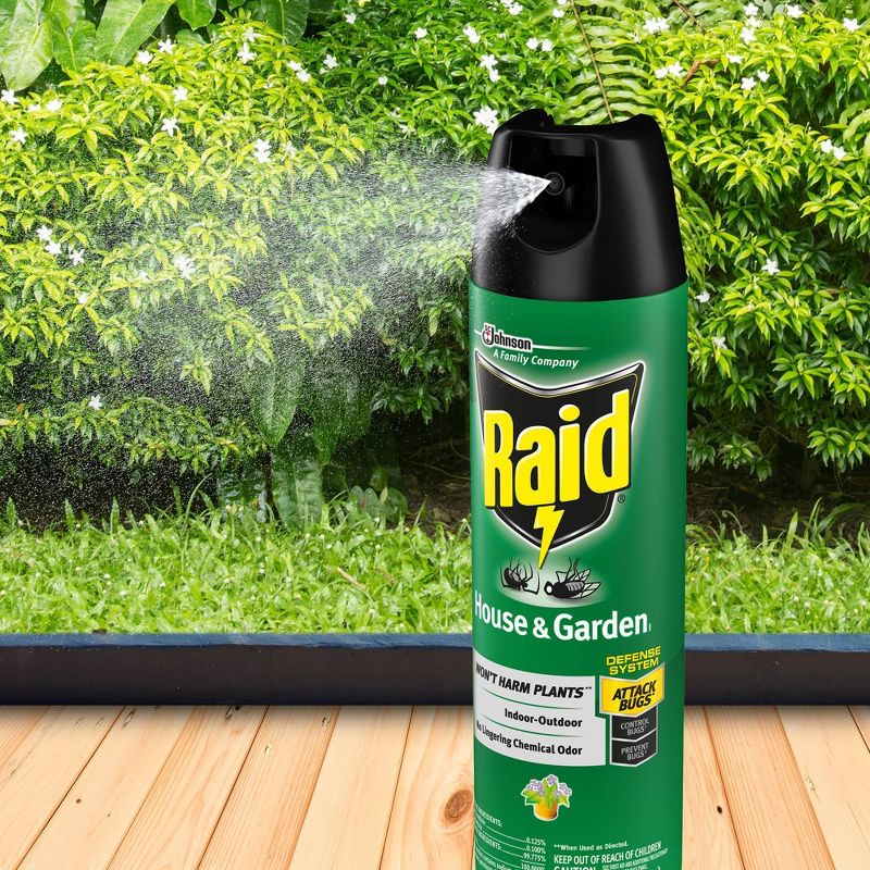 Raid Indoor/Outdoor House & Garden - 11oz